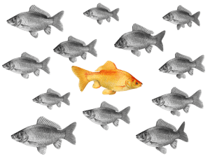 going_against_the_norm_800_clr_10804